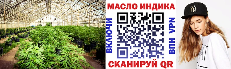 Купить где  Киренск  Дистиллят ТГК Wax 