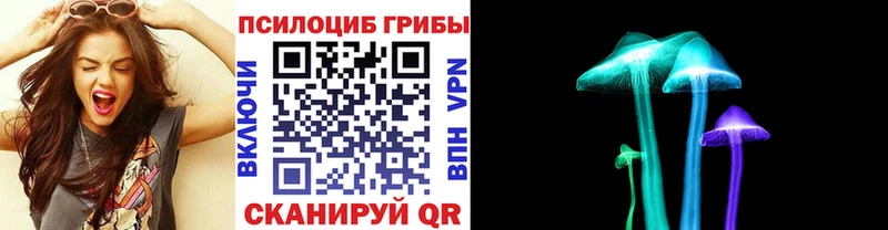Купить закладки  Киренск  Псилоцибиновые грибы Cubensis 